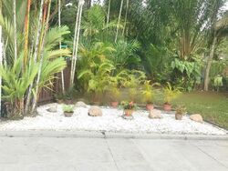 Binjai Walk (D21), Detached #459570551